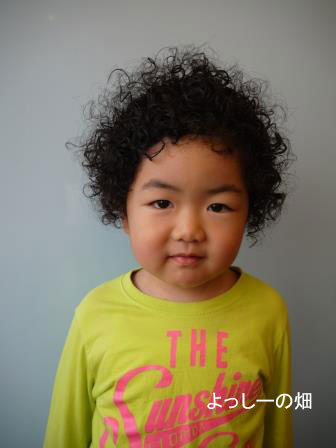 ショートヘアの女の子の横顔 3歳 日本人写真素材7524684- フォトライブラリ