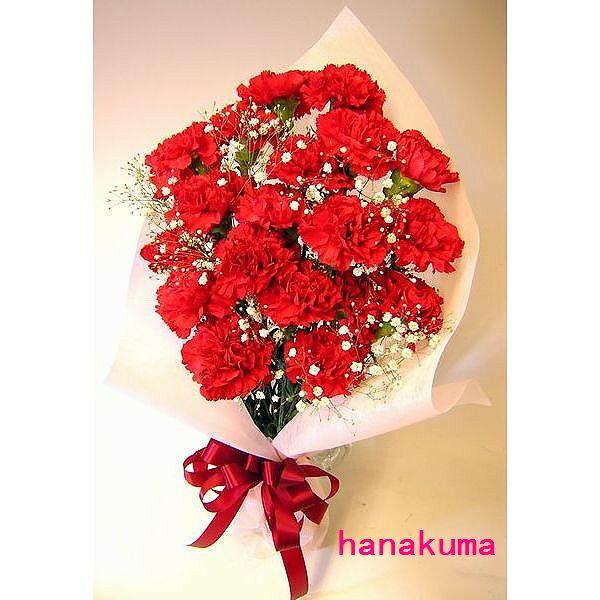 母の日 遅れてごめんね 産地直送 カーネーションの鉢花 おまかせ 5号鉢 母の日に贈る花 母の日カーネーションの鉢植えエーデルワイス 花の贈り物フラワーギフト通販 花宅配 水戸市