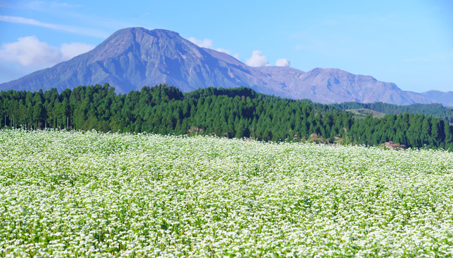 熊本美少女図鑑 – MOMO BLOG