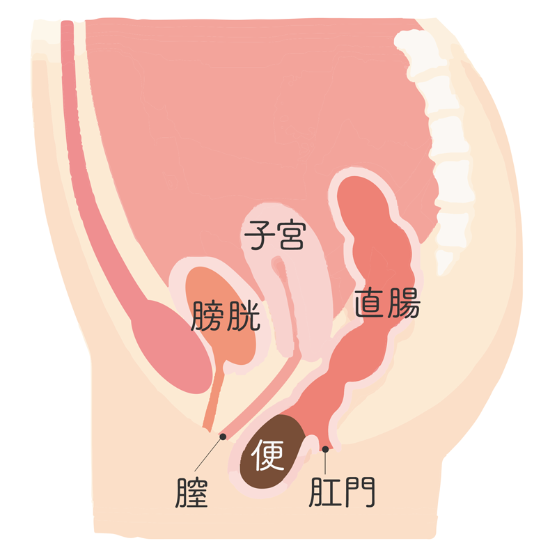 メスイキとは？BLでよく見る「男のメスイキ」のやり方や注意点を解説｜風じゃマガジン