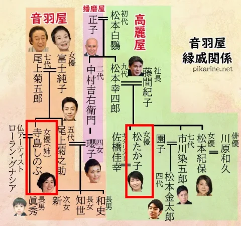 尾上右近さんが銀座の魅力を“再・発見伝”。観劇気分を味わえるカウンタースタイルの美味処へ家庭画報.com“素敵な人”のディレクトリ