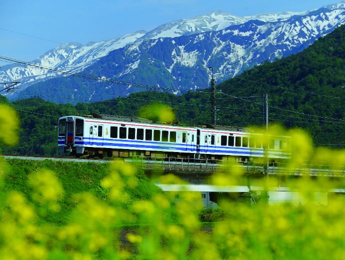 １９９５（平７）年、１６５系急行「富士川」と静岡鉄道のバスの撮影 : 赤い電車は臼い線