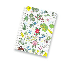 9月 5歳児向け！ 敬老の日にピッタリのプレゼント製作5選保育士を応援する情報サイト 保育と暮らしをすこやかに ほいくらし