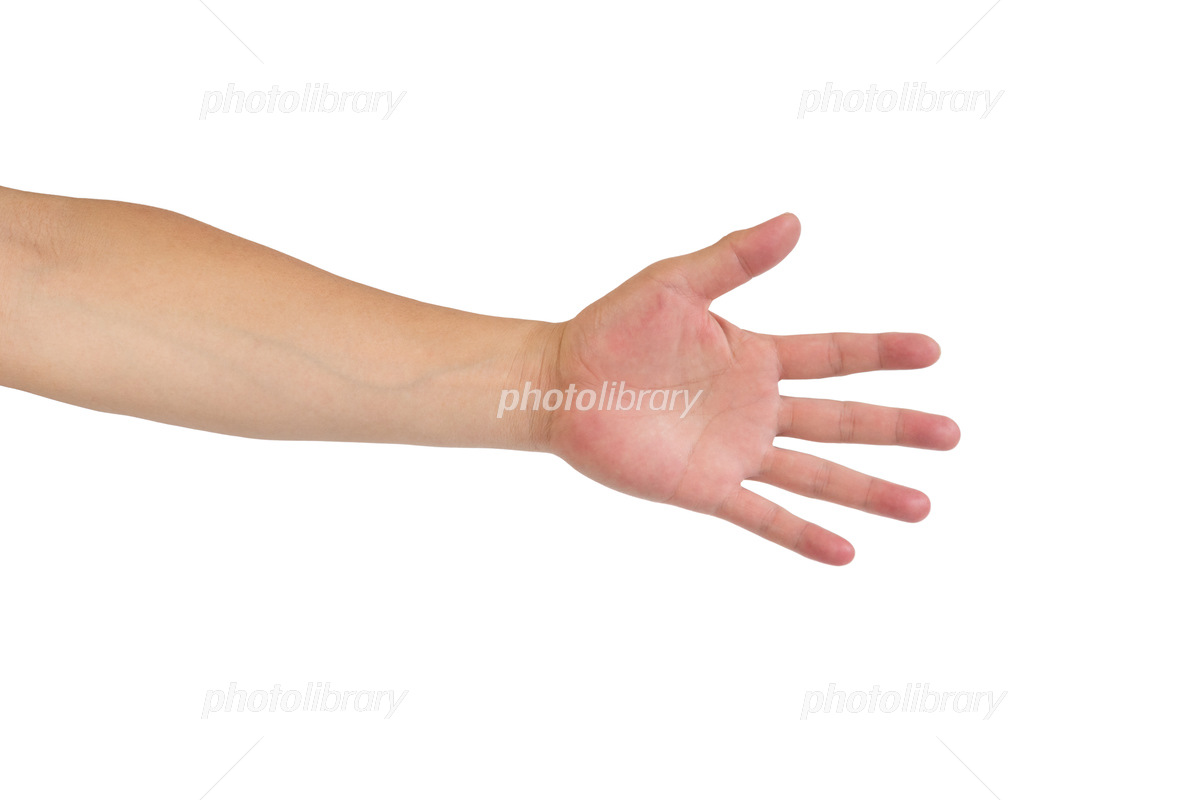 男性の手 自撮りの写真・画像素材-Snapmart スナップマート