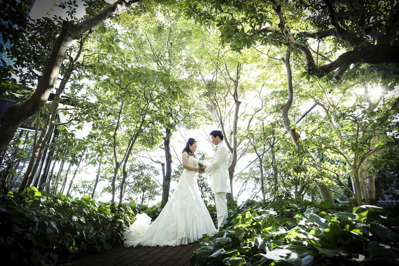 サンタ・アムール エテルニテ ～森の中の小さなｗｅｄｄｉｎｇ～の費用・料金例・ゼクシィ花嫁割・ウェディングプラン ゼクシィ