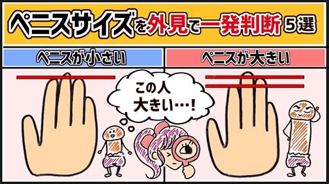 医師監修】男性器の平均サイズとは？ - 夜の保健室