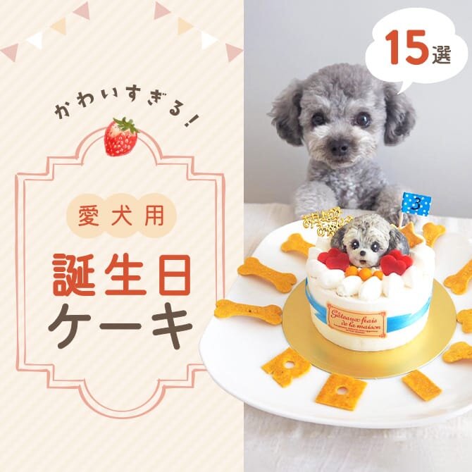 犬用ケーキ ケーキ 誕生日 ハート型 手作り バースデービスケット付きアニバーサリー 誕生日ケーキ お祝い ドッグ フード 犬 犬のケーキ おやつ: PHI PHI SHOP - 通販 - Yahoo!ショッピング