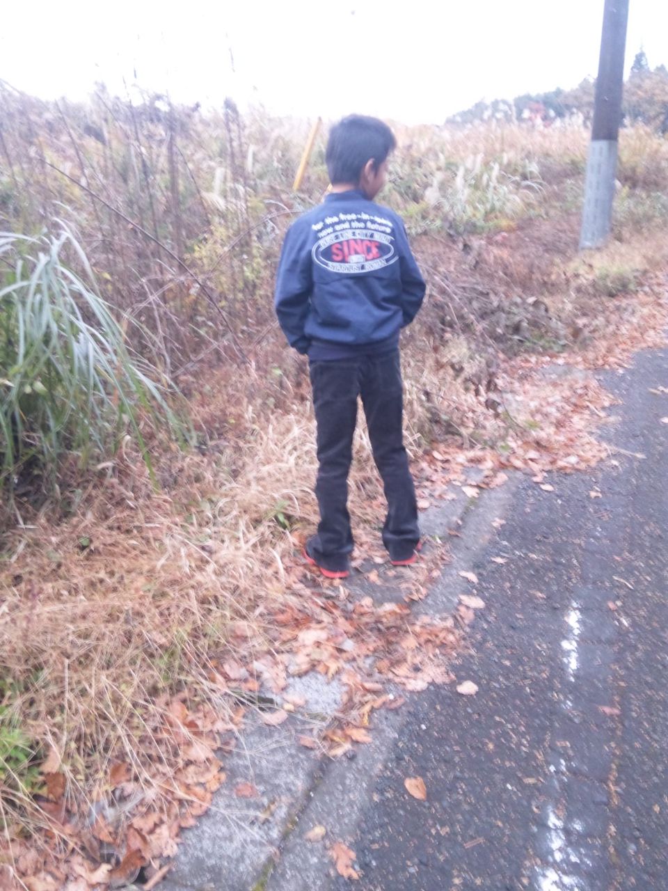 Amazon.co.jp: 立ちトイレトレーニング小便器 - 幼児用トイレ男子便器立ち - 壁掛けペンギン型トイレトレーニングおしっこスタンド男の子用 保育園 ホーム 幼稚園トイレ uskela : ベビー＆マタニティ