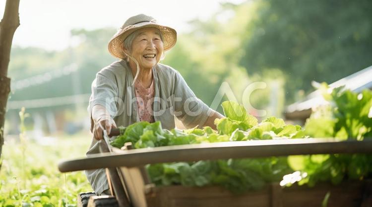 作業がはかどるのらウエア１ ちょこっと縫うだけ 髪の毛ふんわり手ぬぐい頭巾 - 現代農業WEB