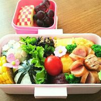 りりかい弁当記録8 1🍅 ちょっと夏休みは本当に シンプルしか作れん😌 小学生弁当小学生女子弁当学童弁当女の子弁当幼稚園弁当年少弁当年中弁当年長弁当男の子弁当おべんたぐらむ可愛いお弁当作りたい部お弁当作り楽しもう部保育園