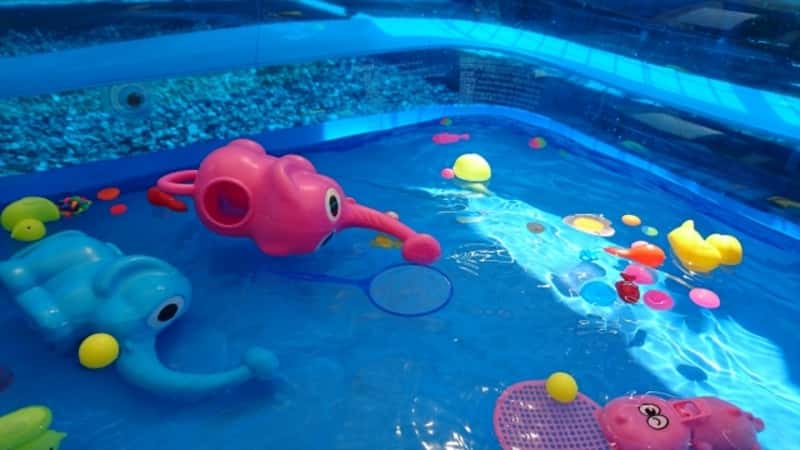 楽天市場 一歩社 はじめしゃ プールでわなげ〜一歩社 はじめしゃ のプール遊びに大活躍の水遊びのおもちゃ・遊具。プール等の水面に棒を浮かべて輪投げができます。 096: 木のおもちゃ ユーロバス