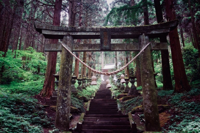 熊本県の復縁効果が強力で最強のおすすめ神社10選！LIFETIME-FUN