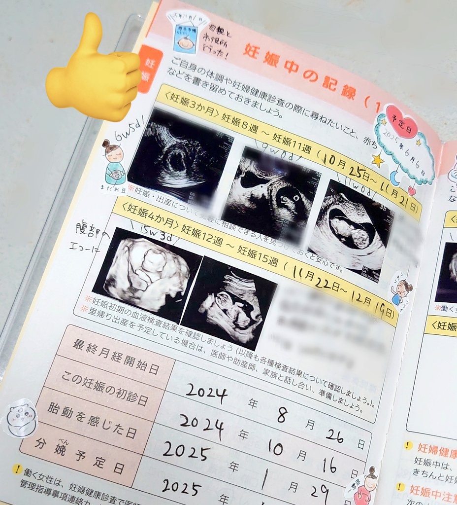 母子手帳 シール チャットgptTikTok