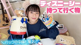 荷物の重さがヤバイ！ディズニーで必要な物・使わなかった物Springsong-ｽﾌﾟｿﾝ