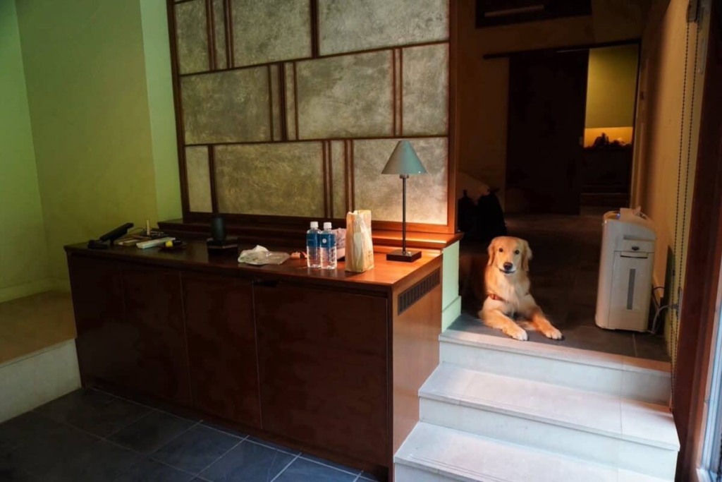 愛犬も大切な「ゲスト」 星野リゾートの犬と泊まれる宿とはいぬのきもちWEB MAGAZINE