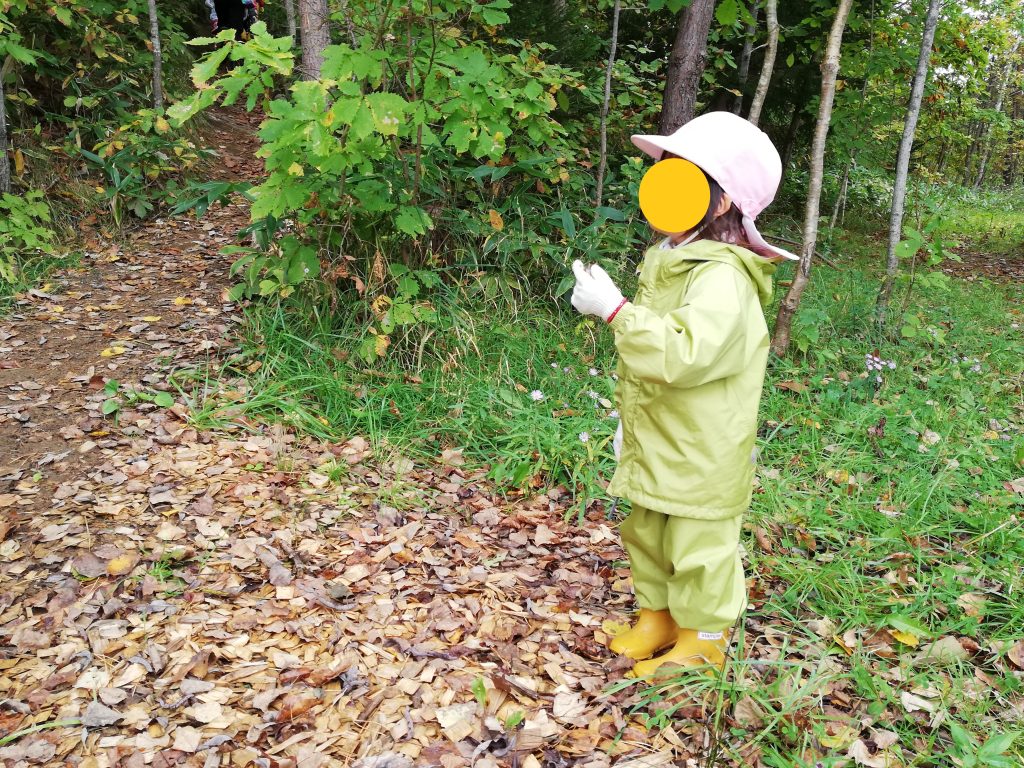 秋遊び親子の時間研究所