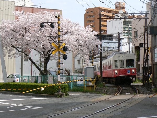 志度線 沖松島駅・松島2丁目～沖松島 - うまげな話