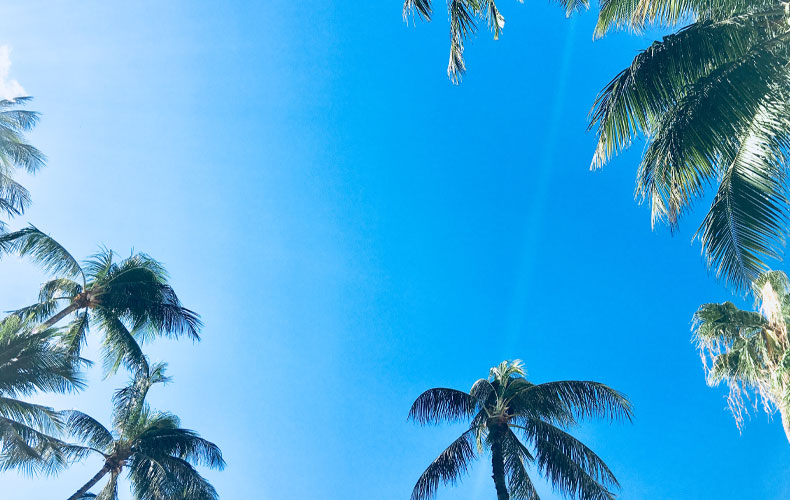 手相を書いて恋愛&結婚運アップ!TJ MOOK本通販Amazon