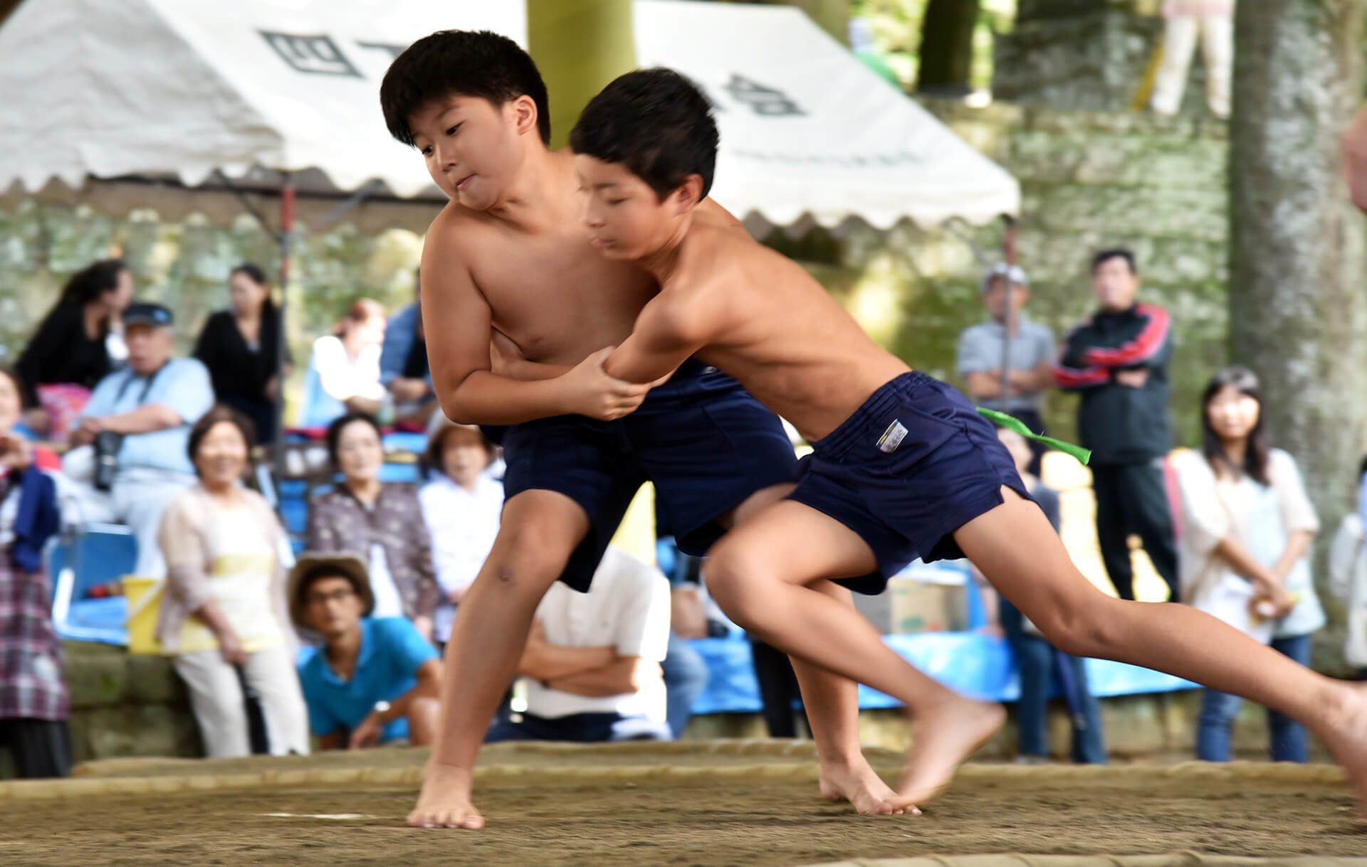 まわしを締め土俵でぶつかり合い 一宮で小学生わんぱく相撲大会：中日新聞Web