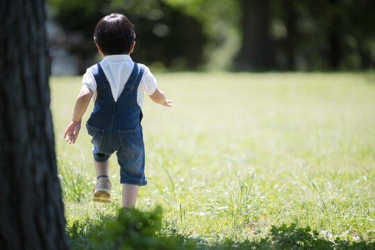 子供の後ろ姿 写真素材6399287- フォトライブラリ