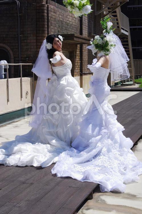 ウエディングドレスを着た女性のカップルのイラスト素材87437031- PIXTA